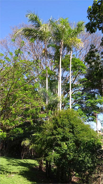 Venda Sítio Vinhedo Cachoeira REO361593 16