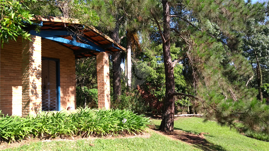 Venda Sítio Vinhedo Cachoeira REO361593 15