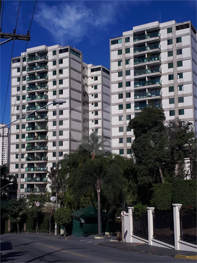 Foto REO361608