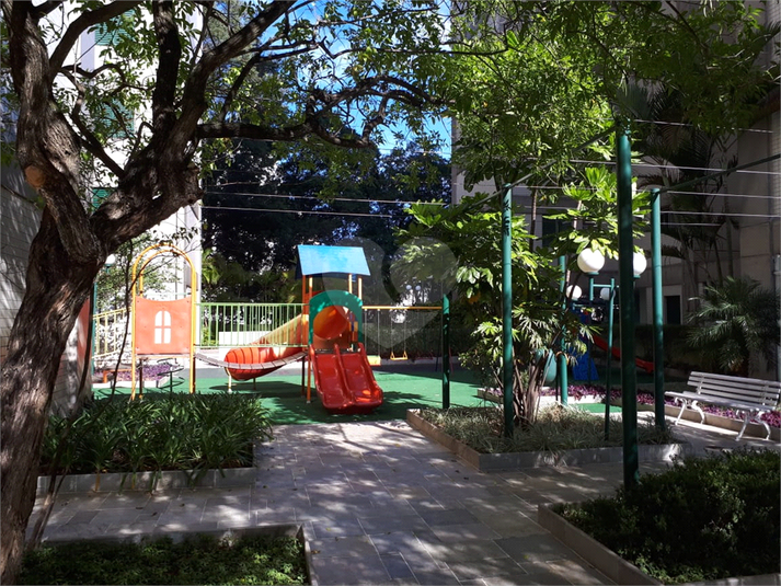 Foto REO361608