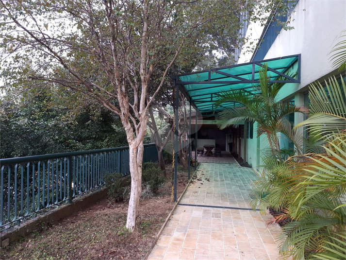 Foto REO361608