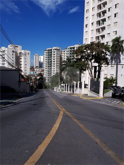 Foto REO361608