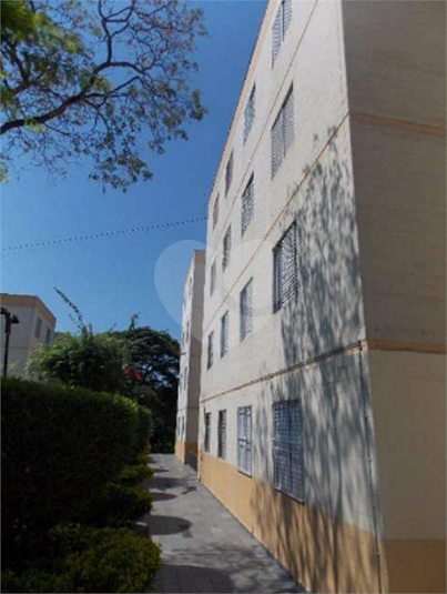 Venda Apartamento Campinas Conjunto Residencial Parque Bandeirantes REO361753 1