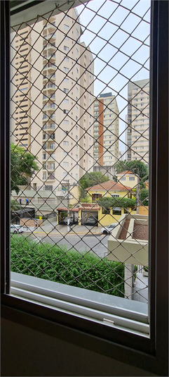 Foto REO361813