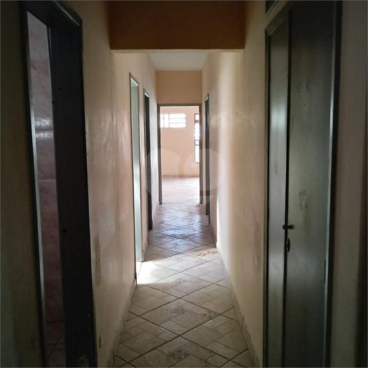 Foto REO362016