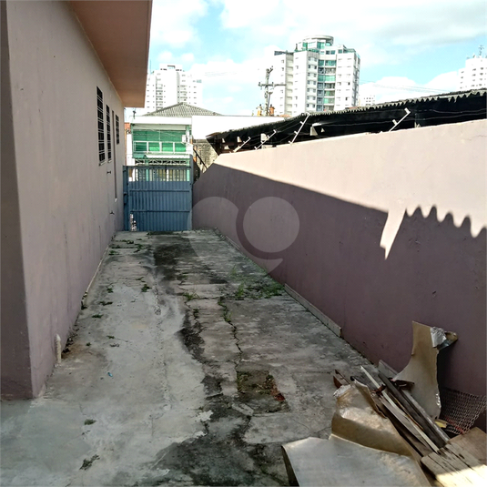 Foto REO362016