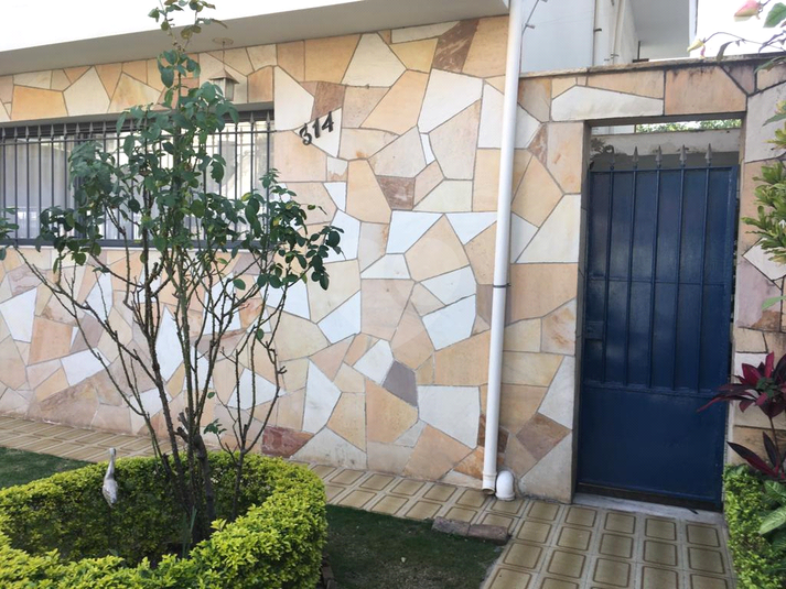 Foto REO362158