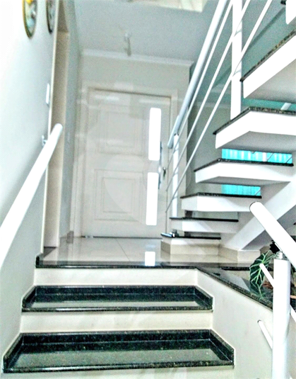 Foto REO362433
