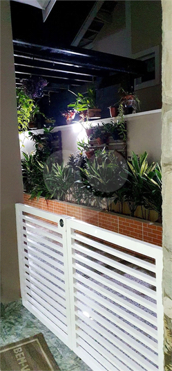 Foto REO362433