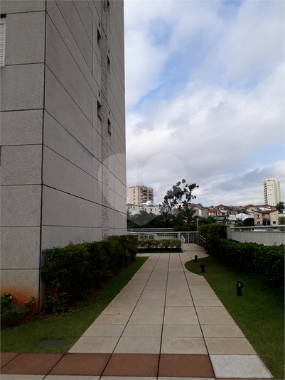 Foto REO362515