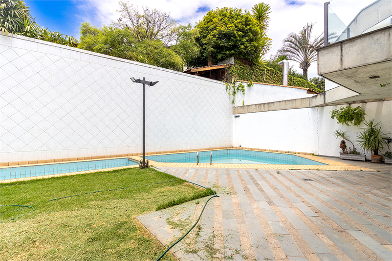 Foto REO362543