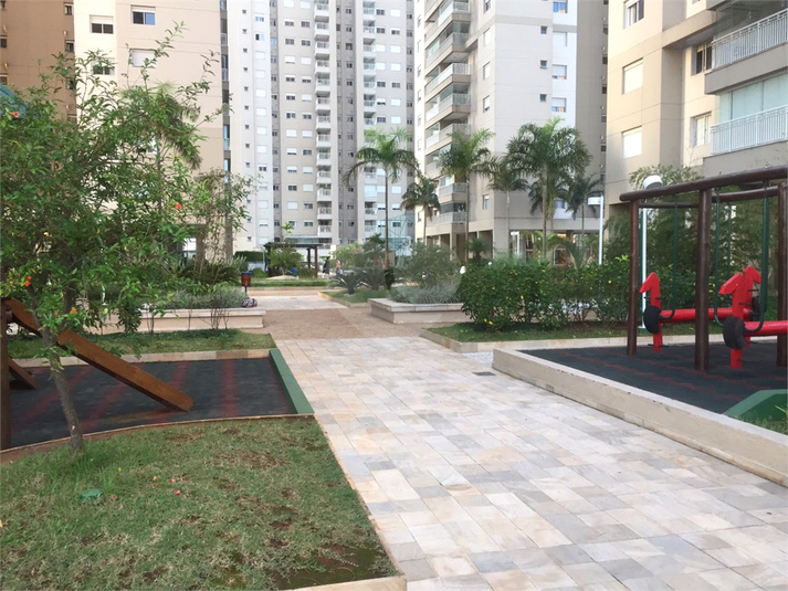 Foto REO362650