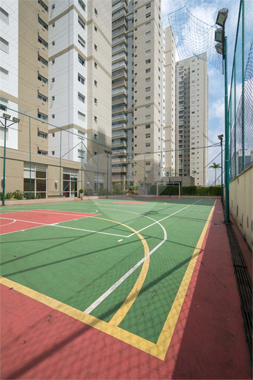 Foto REO362650