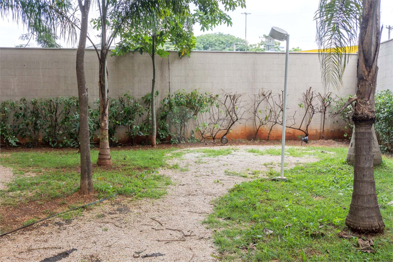 Foto REO362650