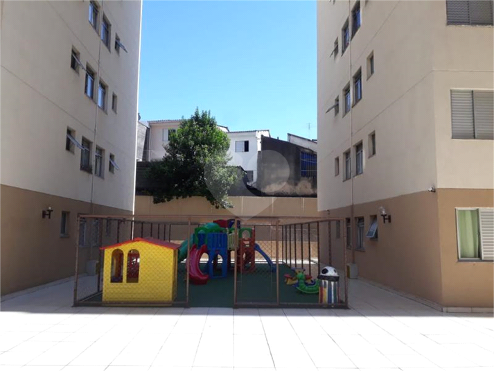 Foto REO362978