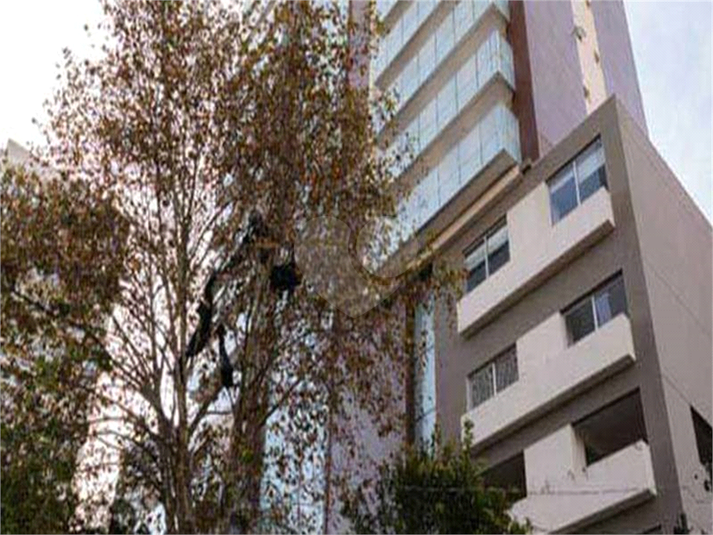 Foto REO363009
