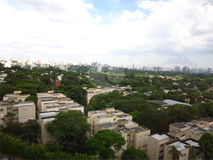 Foto REO363173