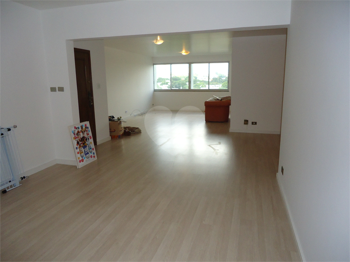Foto REO363173