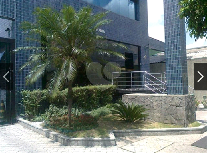 Foto REO363216