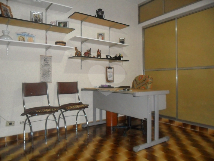 Foto REO363230