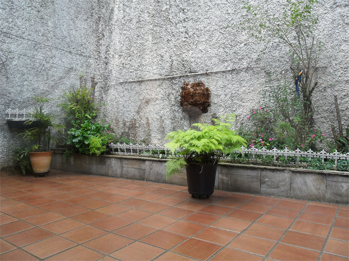 Foto REO363230