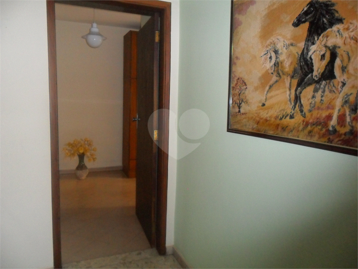 Foto REO363230