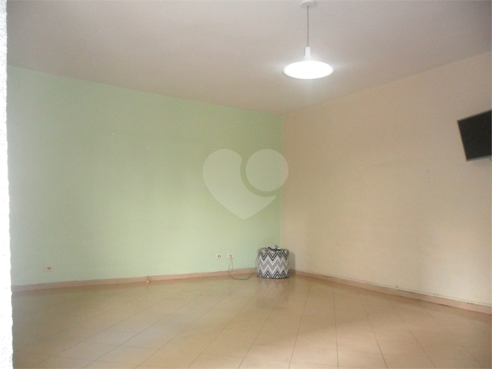 Foto REO363230