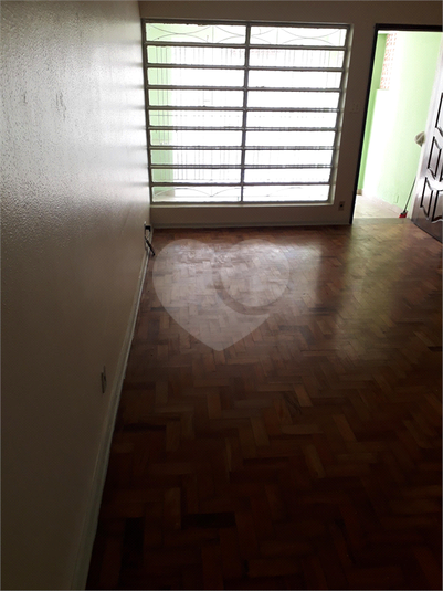 Foto REO363386