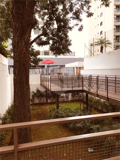 Foto REO363822