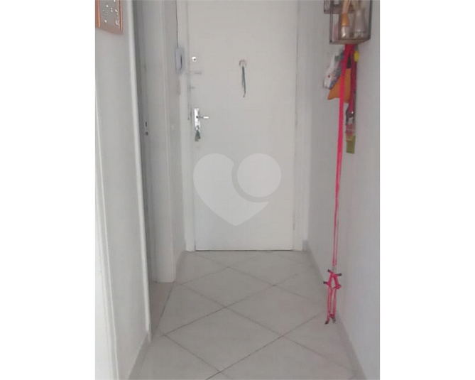 Foto REO364026