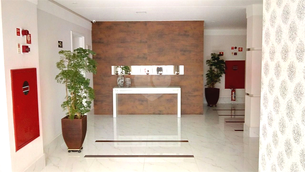 Foto REO364047