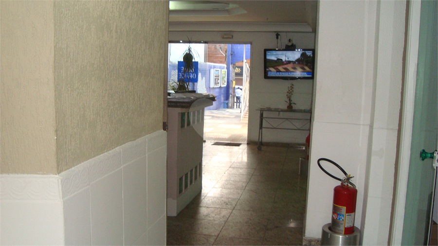 Foto REO364264
