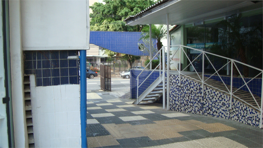 Foto REO364264