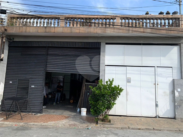 Foto REO364729