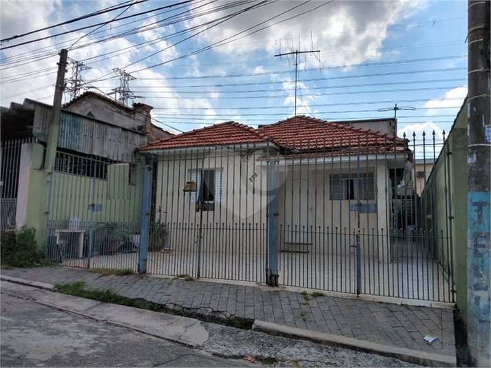 Foto REO364808