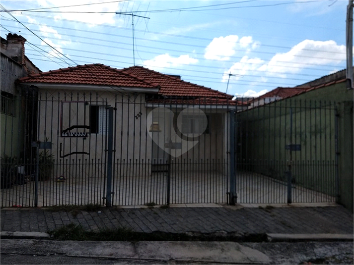 Foto REO364808