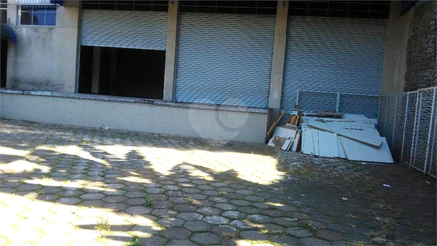 Foto REO364882
