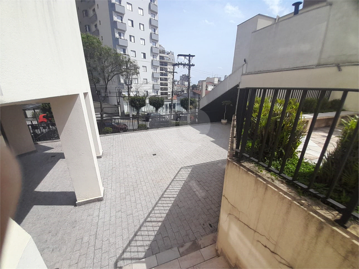 Foto REO364923