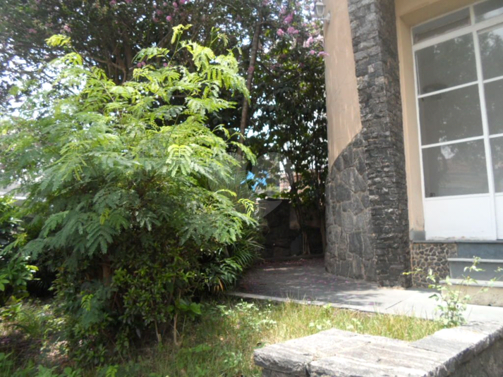 Foto REO365059