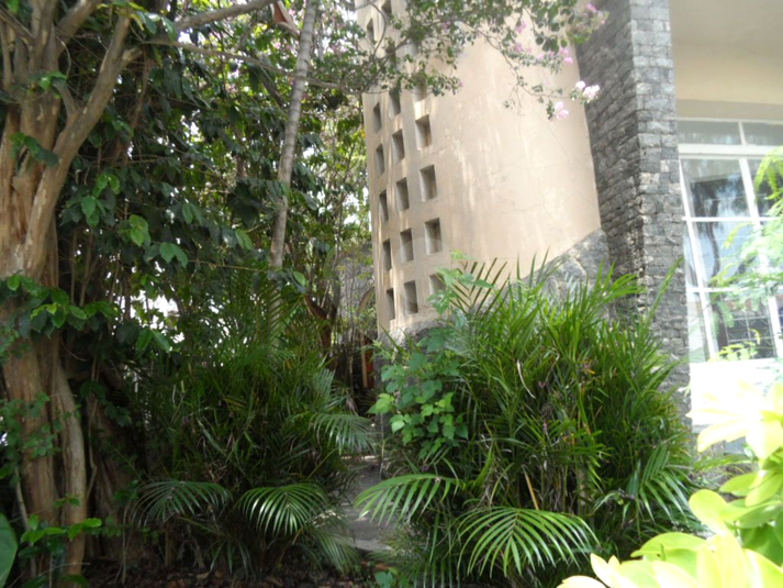 Foto REO365059