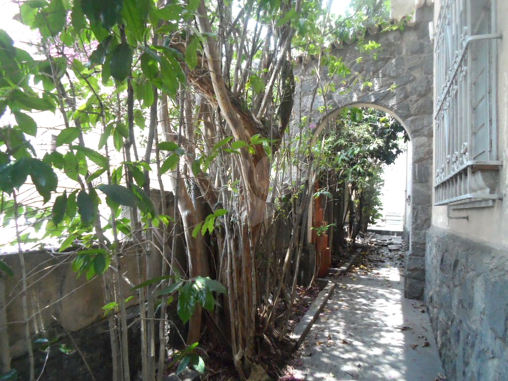 Foto REO365059
