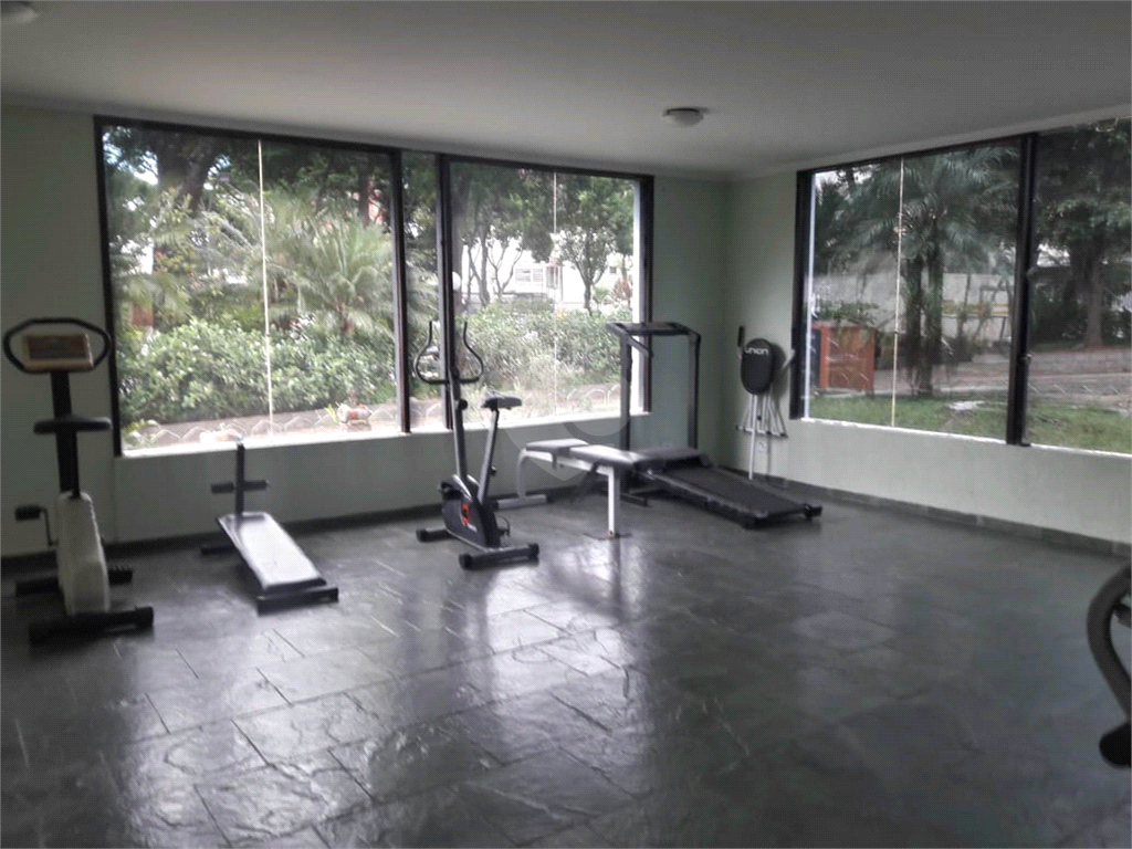 Aluguel Apartamento São Paulo Lauzane Paulista REO365231 17