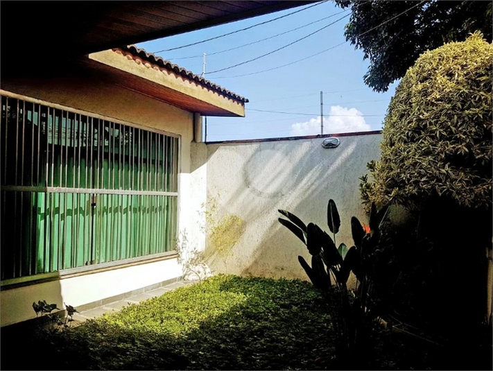 Foto REO365356