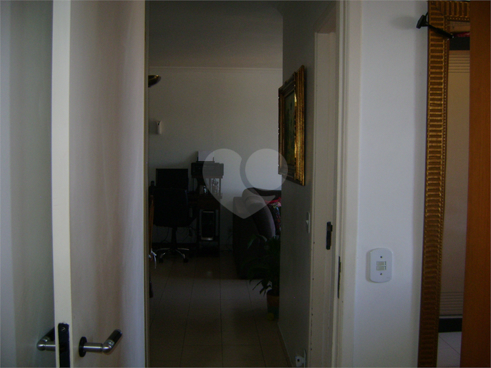 Foto REO365514