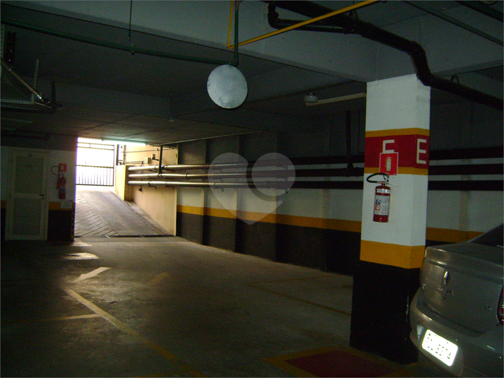 Foto REO365514