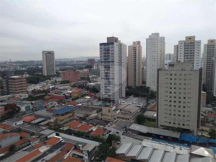 Foto REO365847