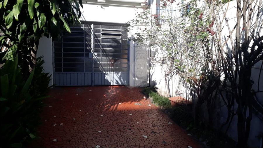 Foto REO365996