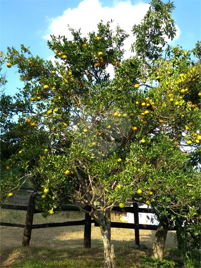 Venda Chácara Ibiúna Recreio Campo Verde REO366617 13