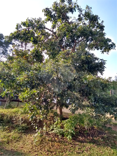 Venda Chácara Ibiúna Recreio Campo Verde REO366617 12