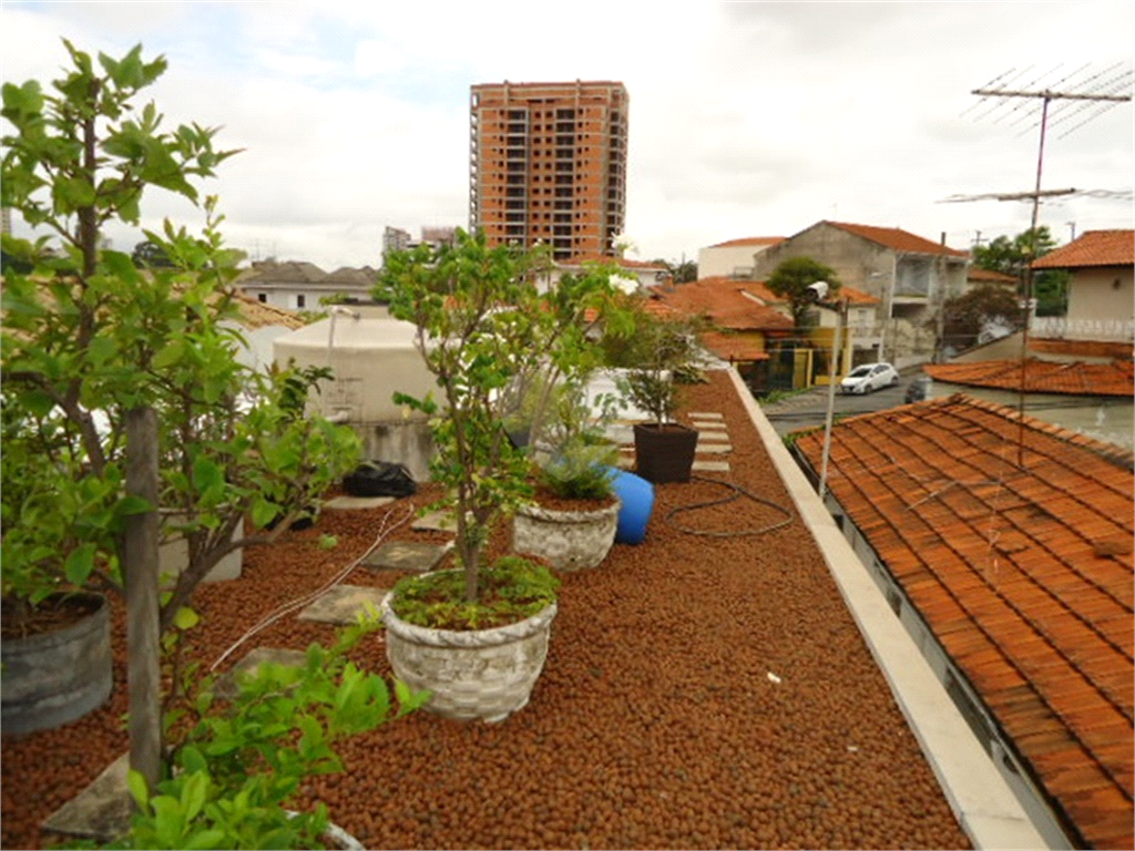 Venda Casa São Paulo Jardim São Paulo(zona Norte) REO366962 38